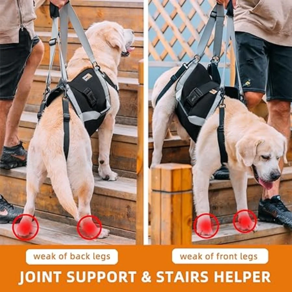 Dog Lift Harness & Body Sling Support for Large Dogs